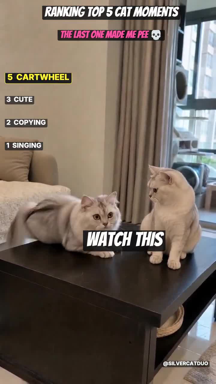 Two-cat ranking: four actions and a ranking board