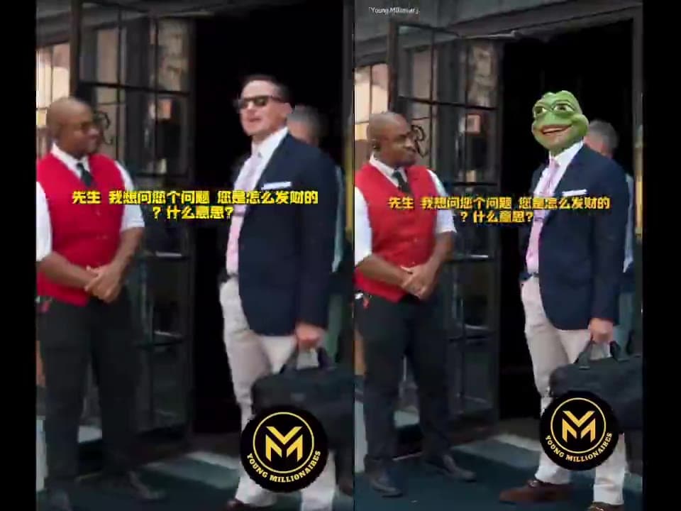Pepe and Doge street interviews